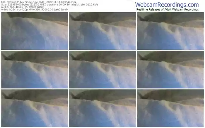 showup-gwiazda_-11-11-2022-07-36-41