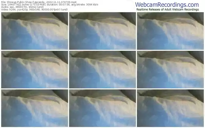 showup-gwiazda_-11-11-2022-07-47-03