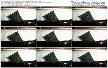 showup-dreamtits_-11-12-2022-04-51-08