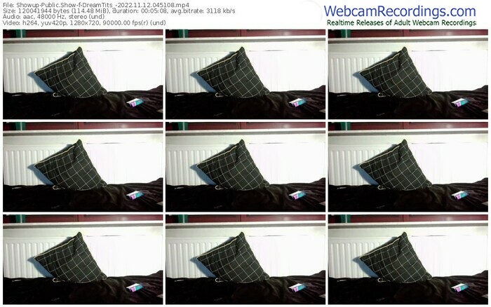 showup-dreamtits_-11-12-2022-04-51-08