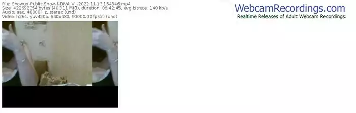 showup-diva_v_-11-13-2022-15-48-46