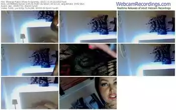 showup-cayenne_-11-16-2022-21-10-02