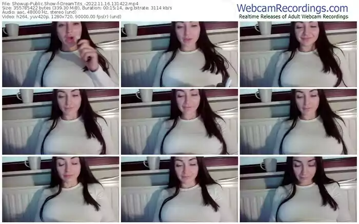 showup-dreamtits_-11-16-2022-13-14-22