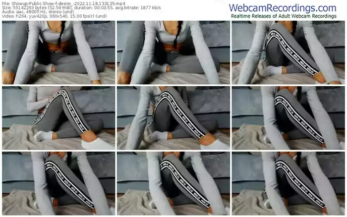 showup-desire_-11-18-2022-13-31-35