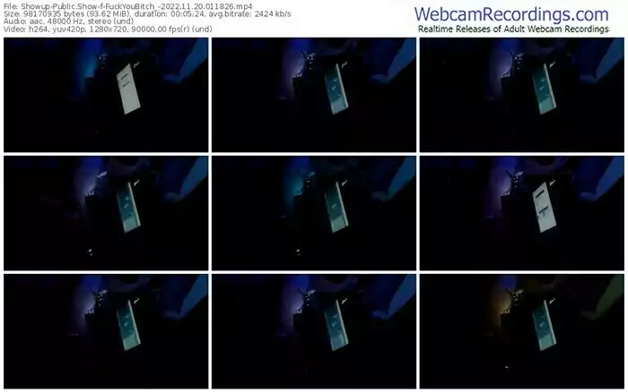showup-fuckyoubitch_-11-20-2022-01-18-26