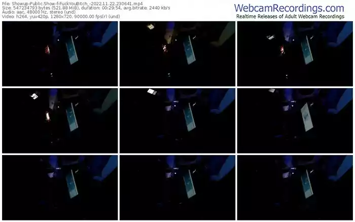 showup-fuckyoubitch_-11-22-2022-23-06-41