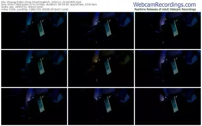 showup-fuckyoubitch_-11-23-2022-02-28-05