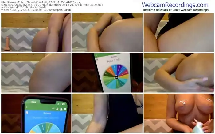 showup-xlunkax_-11-23-2022-14-46-32