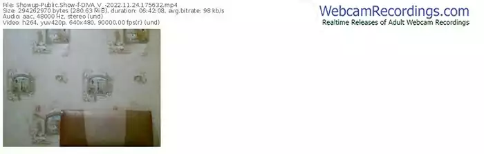 showup-diva_v_-11-24-2022-17-56-32