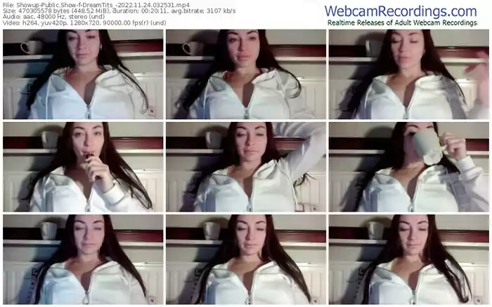 showup-dreamtits_-11-24-2022-03-25-31