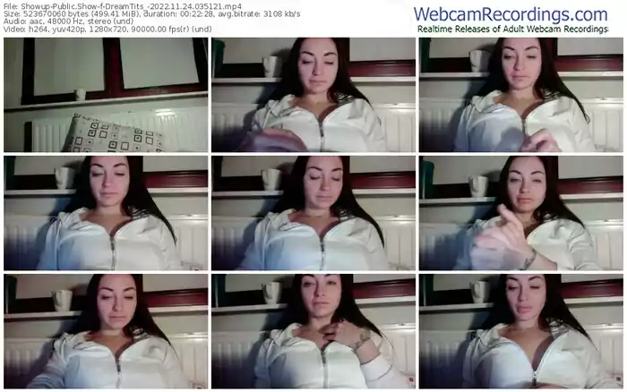 showup-dreamtits_-11-24-2022-03-51-21