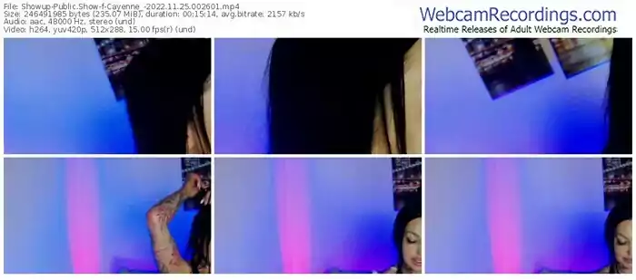 showup-cayenne_-11-25-2022-00-26-01