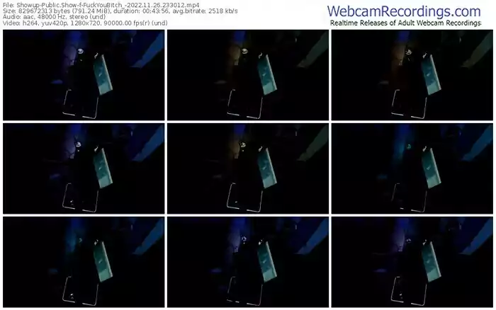 showup-fuckyoubitch_-11-26-2022-23-30-12