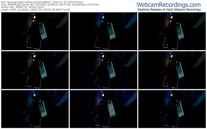 showup-fuckyoubitch_-11-27-2022-00-26-49
