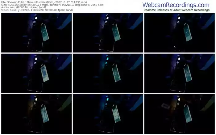 showup-fuckyoubitch_-11-27-2022-01-18-30