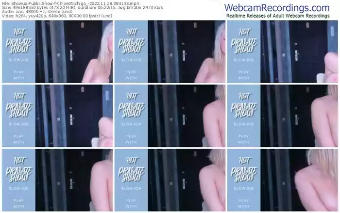 showup-chloe05ichigo_-11-28-2022-08-41-43