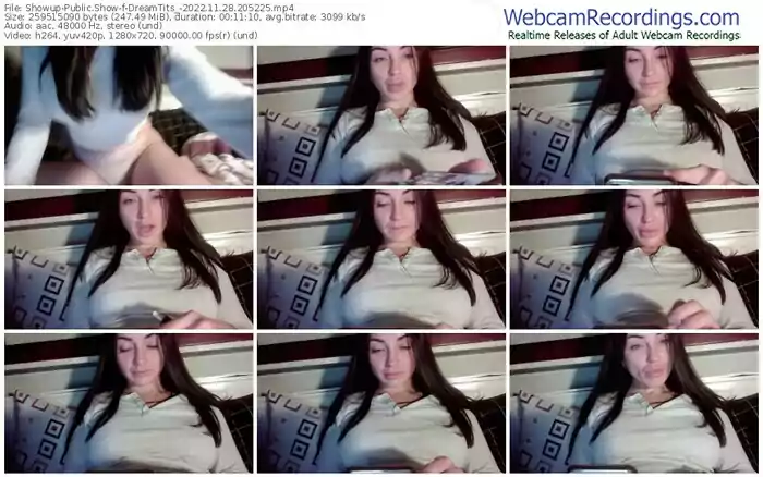 showup-dreamtits_-11-28-2022-20-52-25