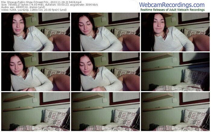 showup-dreamtits_-11-28-2022-21-34-18