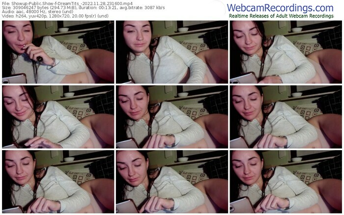 showup-dreamtits_-11-28-2022-23-16-00