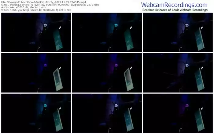 showup-fuckyoubitch_-11-29-2022-22-45-45