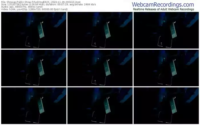 showup-fuckyoubitch_-11-29-2022-23-04-10
