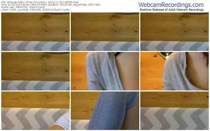 showup-xlunkax_-11-29-2022-14-00-55