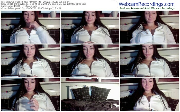 showup-dreamtits_-11-30-2022-13-53-50