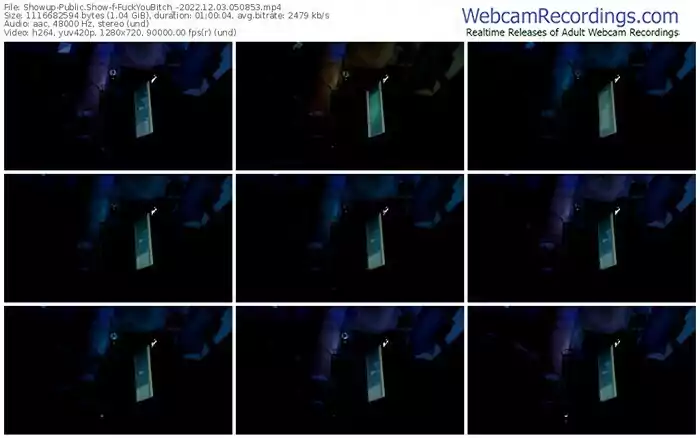 showup-fuckyoubitch_-12-03-2022-05-08-53