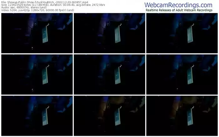 showup-fuckyoubitch_-12-03-2022-06-08-57