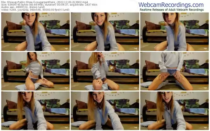 showup-cougarpanthere_-12-03-2022-21-39-02