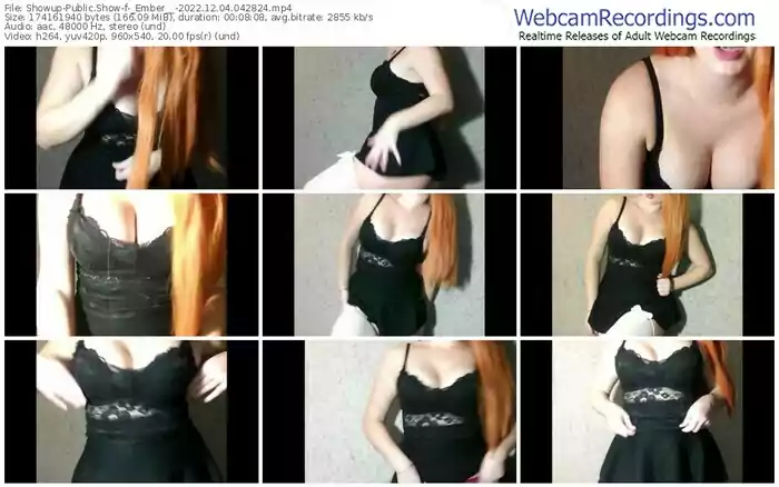 showup-_ember__-12-04-2022-04-28-24