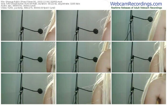 showup-seexi30_-12-06-2022-13-29-55