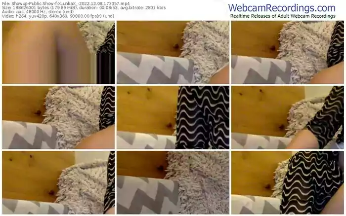 showup-xlunkax_-12-08-2022-17-33-57