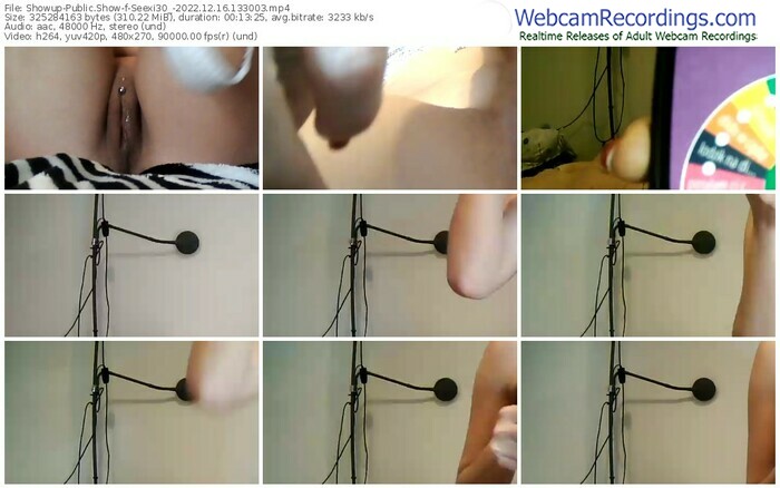 showup-seexi30_-12-16-2022-13-30-03