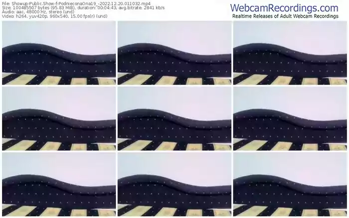 showup-podnieconaona19_-12-20-2022-01-10-32