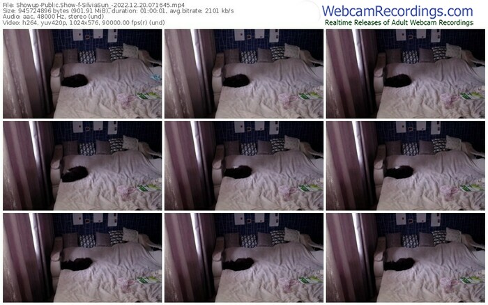 showup-silviasun_-12-20-2022-07-16-45