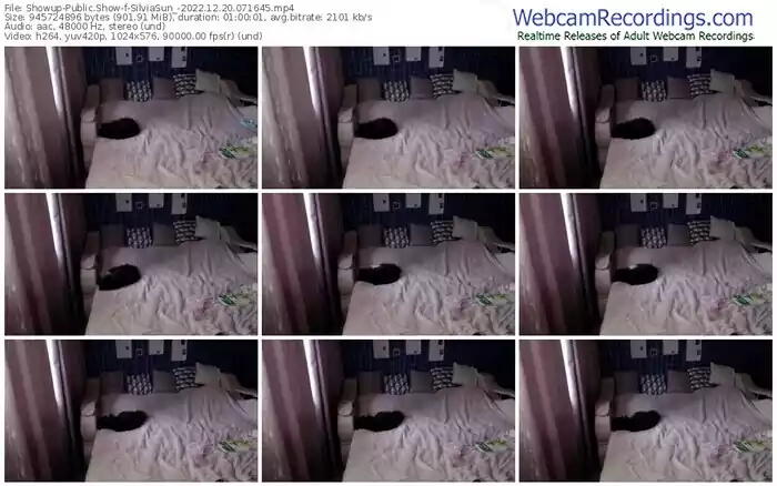 showup-silviasun_-12-20-2022-07-16-45