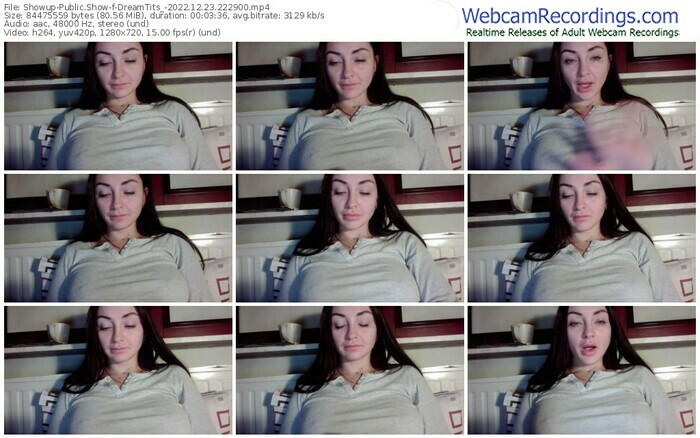 showup-dreamtits_-12-23-2022-22-29-00