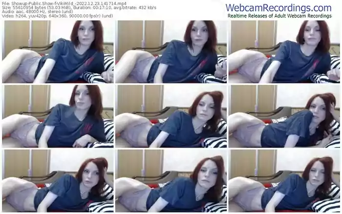 showup-vikimild_-12-23-2022-14-17-14