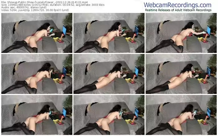 showup-lonelyflower_-12-26-2022-01-41-22