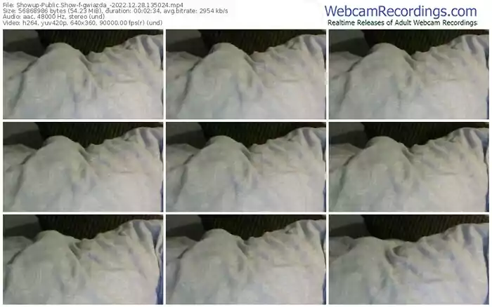 showup-gwiazda_-12-28-2022-13-50-24