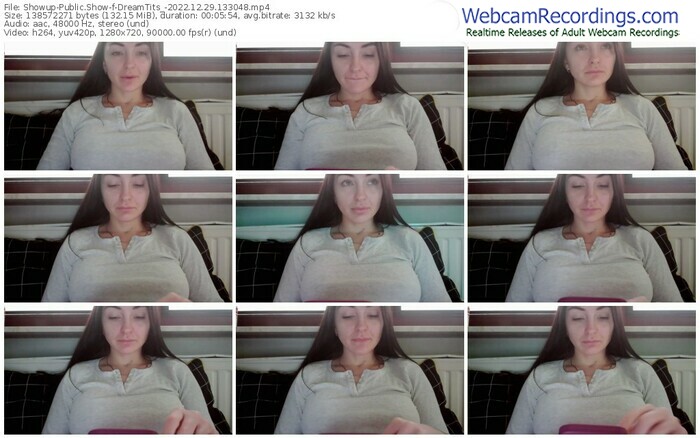 showup-dreamtits_-12-29-2022-13-30-48