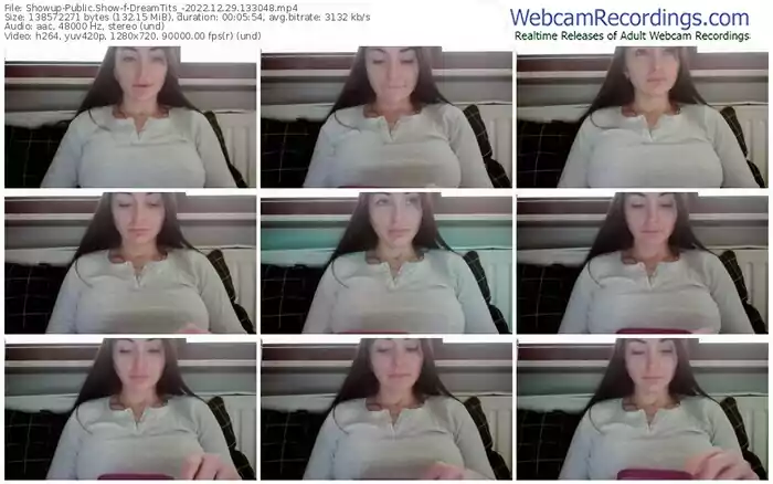 showup-dreamtits_-12-29-2022-13-30-48