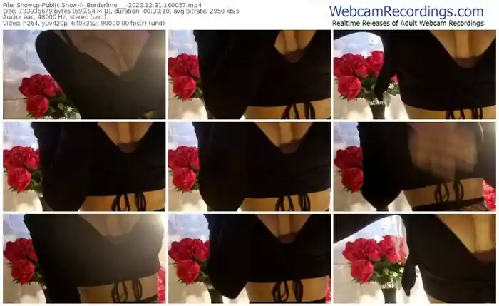 showup-_borderline___-12-31-2022-16-00-57