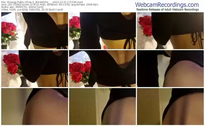 showup-_borderline___-12-31-2022-17-15-46