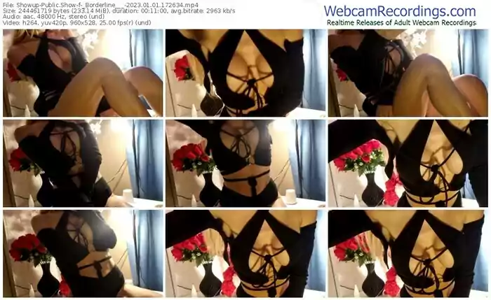 showup-_borderline___-01-01-2023-17-26-34