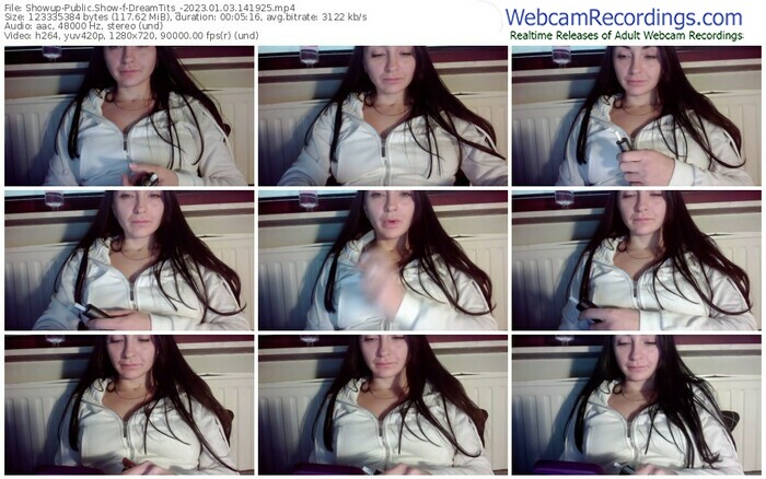 showup-dreamtits_-01-03-2023-14-19-25