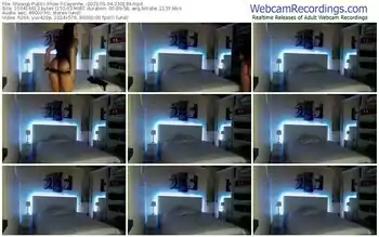 showup-cayenne_-01-04-2023-23-01-39