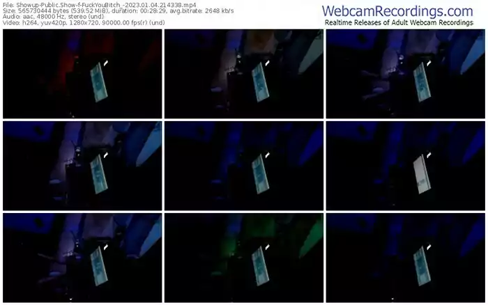 showup-fuckyoubitch_-01-04-2023-21-43-38