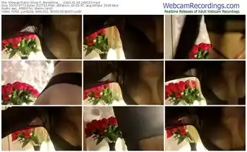 showup-_borderline___-01-05-2023-16-00-10